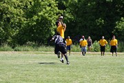 OTFL Gallery Image